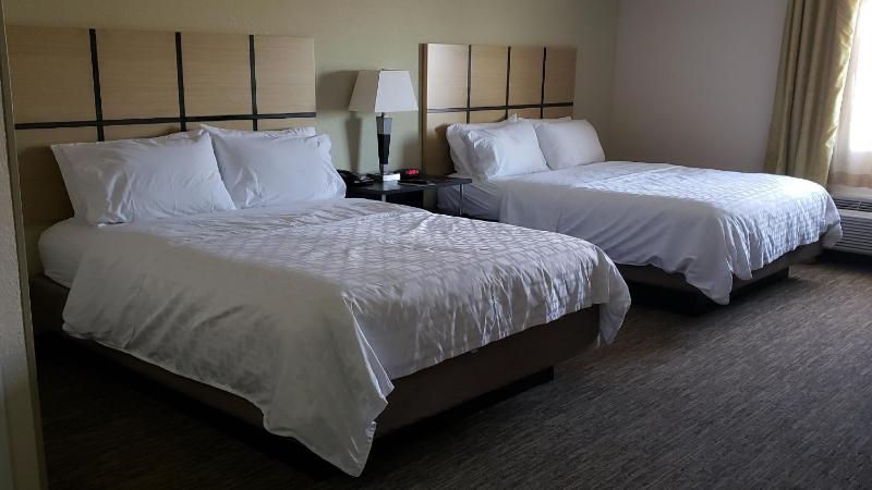 Studio Suite with Two Queen Beds image 2
