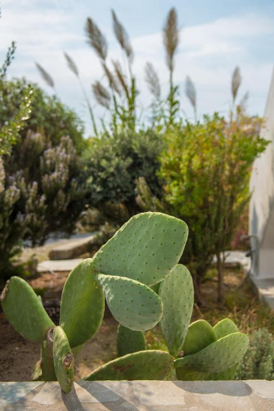 Vienoula's Garden Hotel - image 16