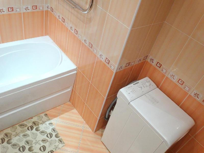 One-Bedroom Apartment image 3