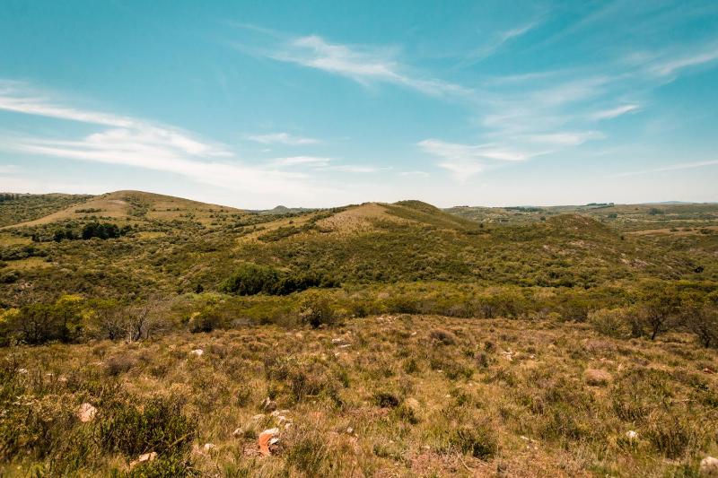 Chacra Roxy - image 12
