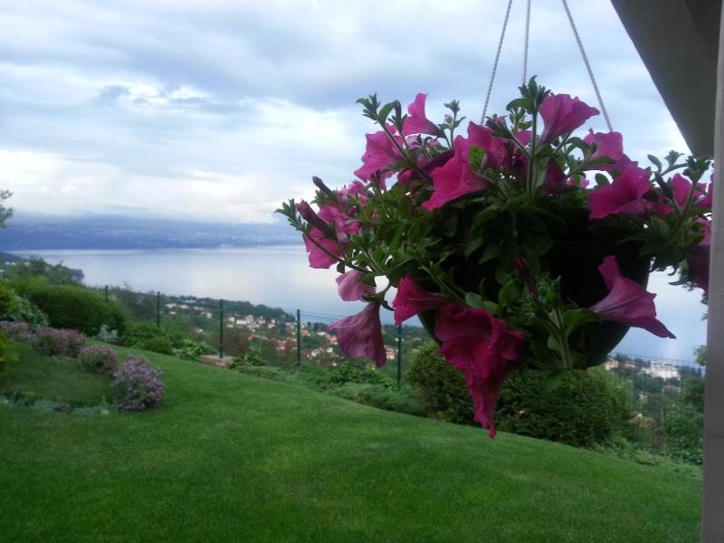 One-Bedroom Apartment with Terrace (3 Adults) image 2