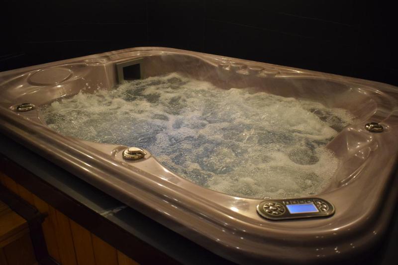 Superior Apartment with Sauna and River View image 4