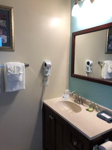 Palm Pavilion Inn - image 19