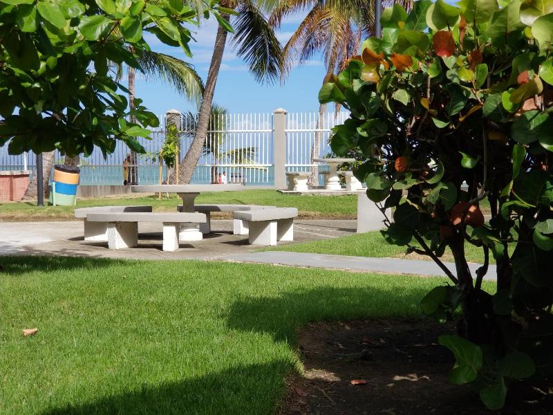 Studio Apartment with Ocean View image 3