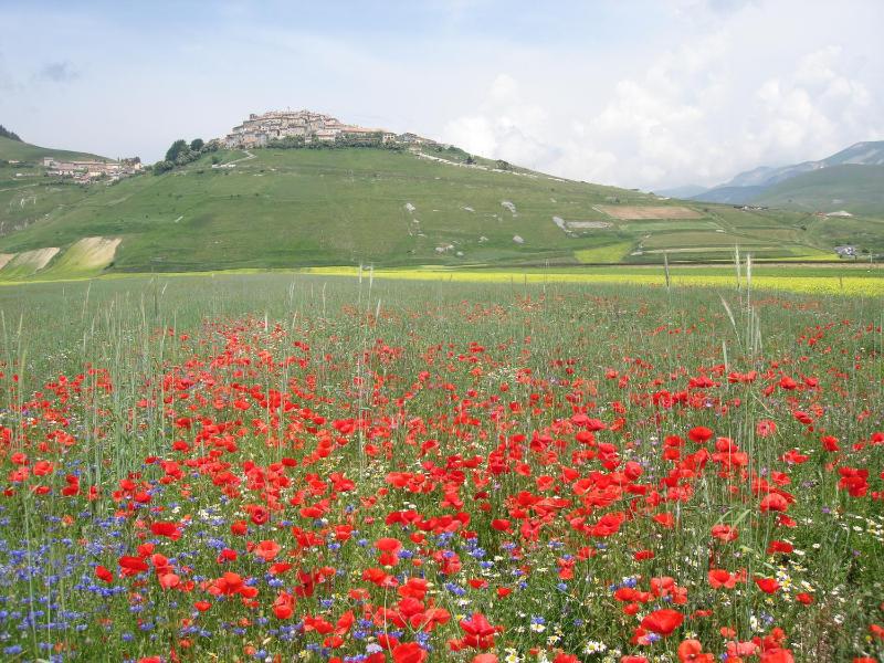 Hotel Vega Perugia - image 18