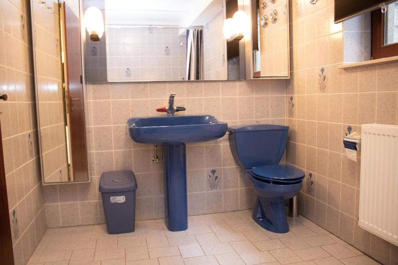 Welcome in - Ferienwohnung 14 in der Nähe des Skigebiets mit Sauna - Blick auf die Bobbahn - image 15