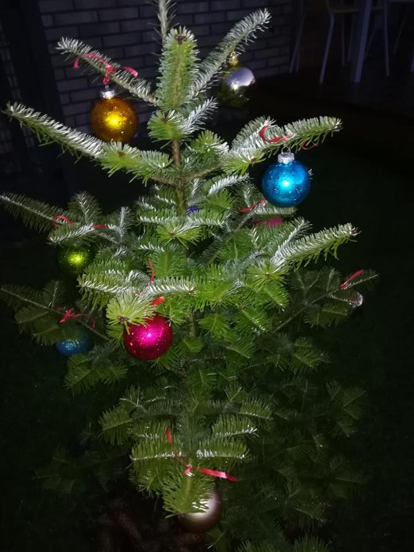 Geltoni apartamentai - image 11