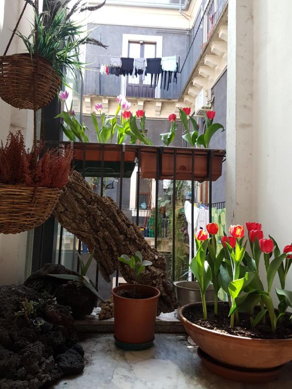 Bellini Apartment - image 50