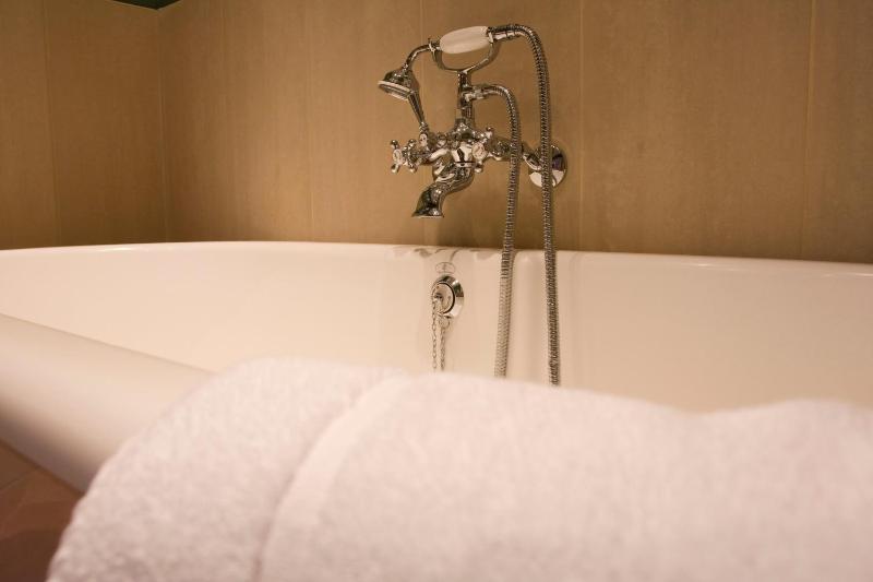 Deluxe Suite image 1