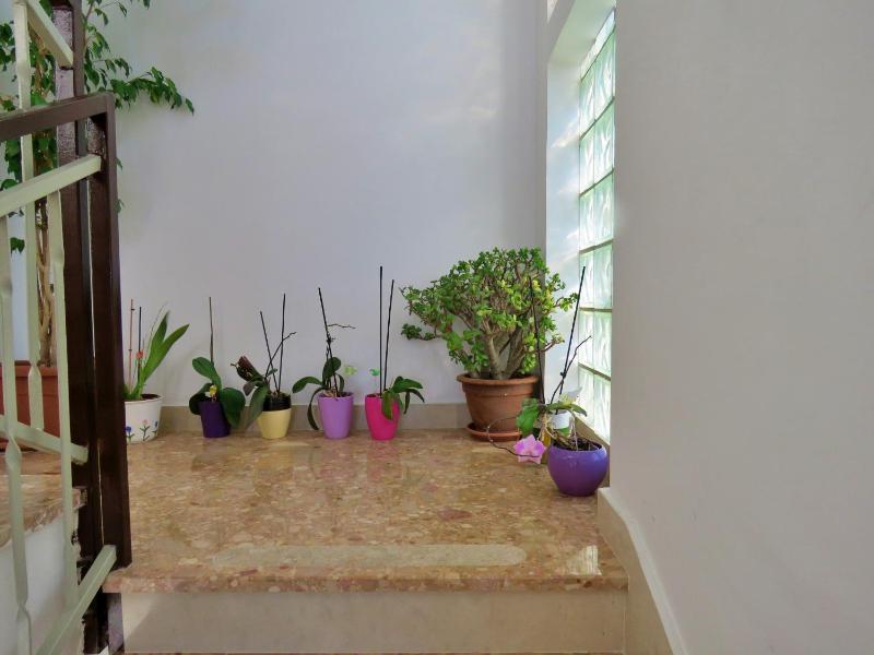 Apartments Nemira - image 14