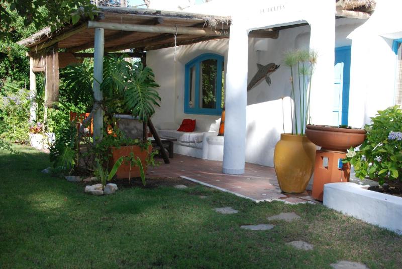 El Delfin - image 20