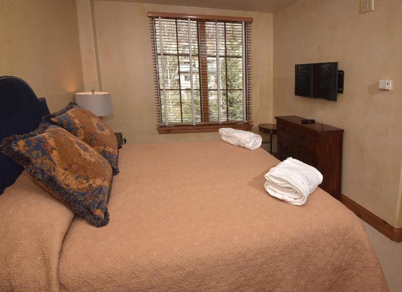 Bright Ski in out Condo 3Br 35Ba - image 15