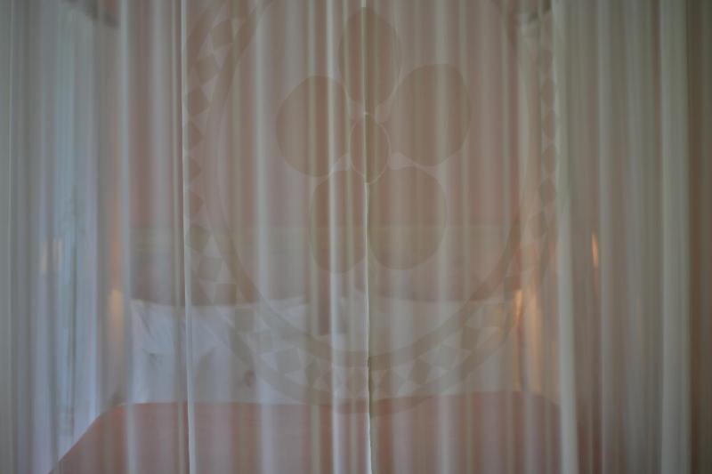 Presidential Suite image 3