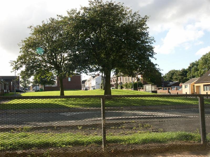Twin Room with Shared Bathroom image 2