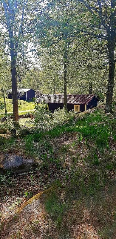 Mobile Home image 1