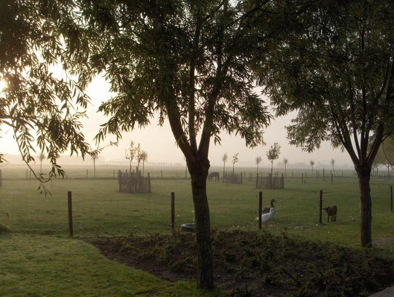B&B Knotwilgenhoeve - image 15