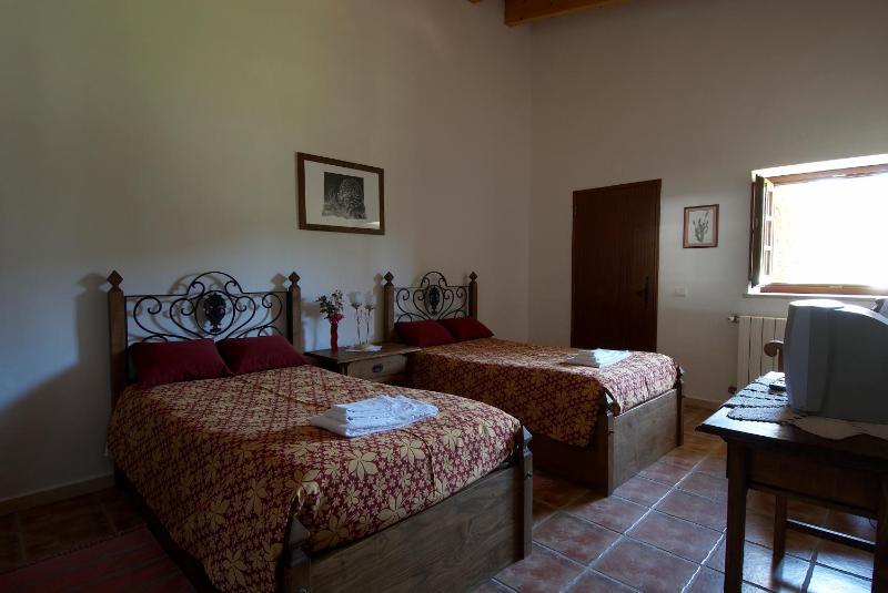 Twin Room image 2