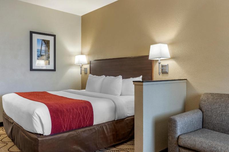Suite, 1 King Bed with Sofa Bed, Non Smoking image 2