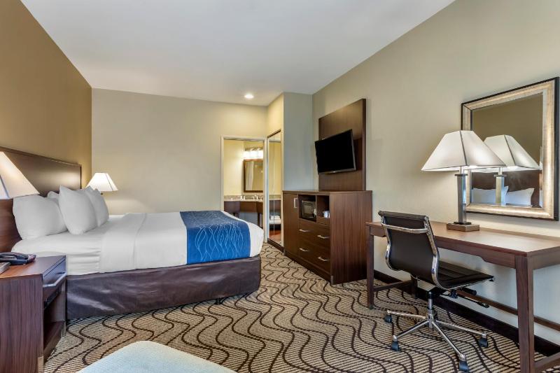 Standard Room, 1 King Bed, Non Smoking image 4