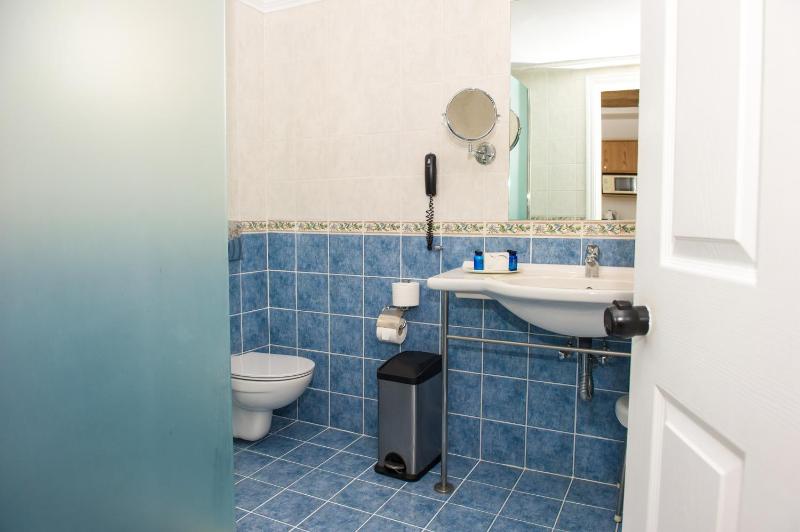 One-Bedroom Apartment image 3