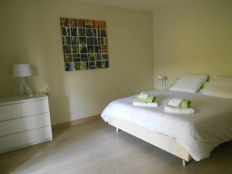 Three-Bedroom Apartment (6 Adults) image 2