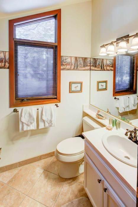 One-Bedroom Apartment image 3
