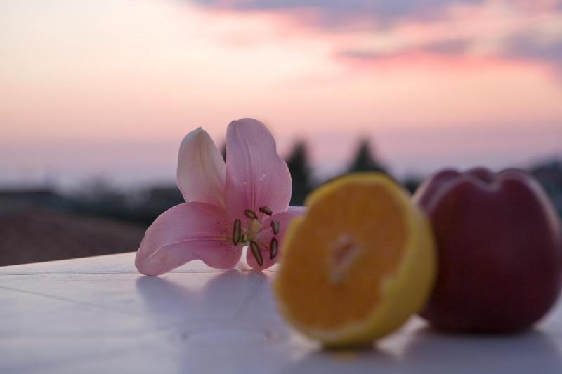 Two-Bedroom Apartment image 2