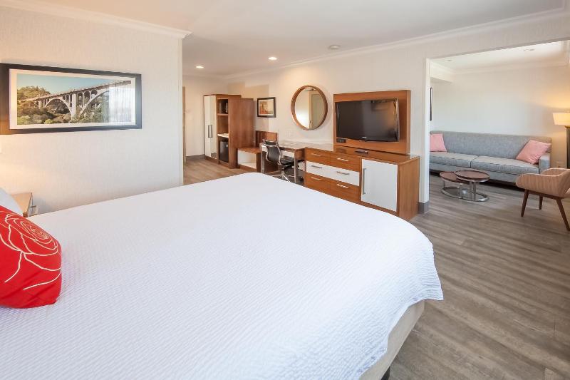 Deluxe King Suite image 3