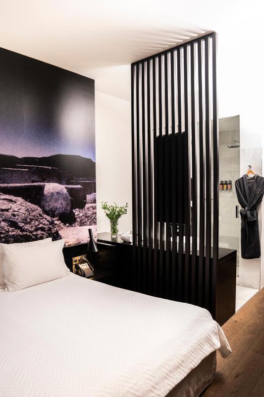 Double Room with Spa Access image 3