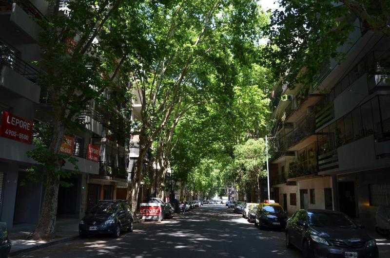 APARTAMENTO VIAJERO 2 - image 9
