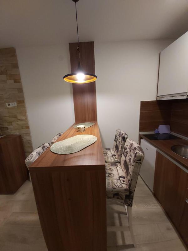 AMI apartman Kopaonik - image 6