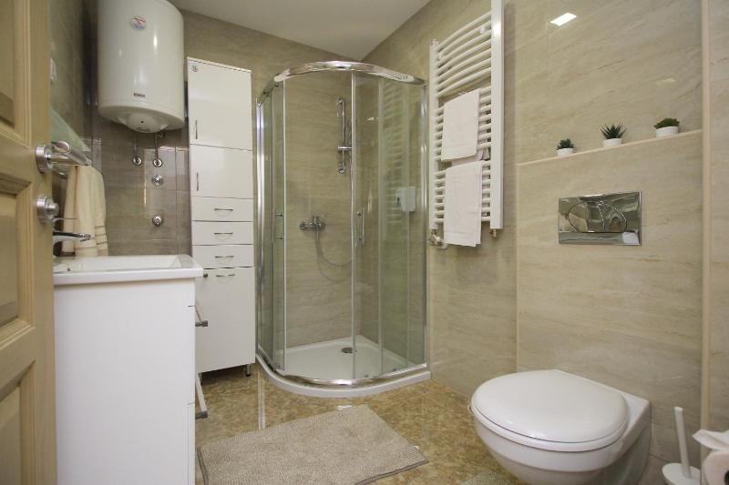 One Bedroom Apartment image 4