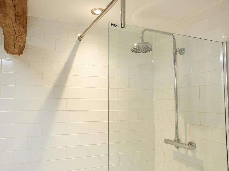 Single Room image 4