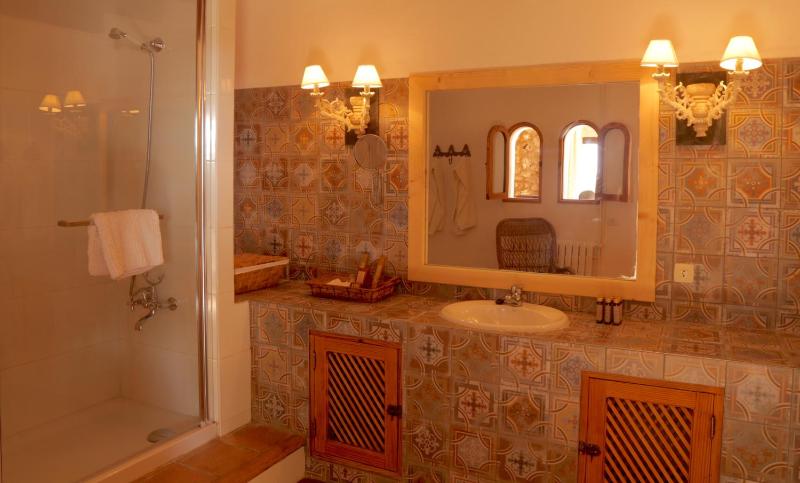 Junior Suite (2 Adults) with Terrace and Spa access image 3