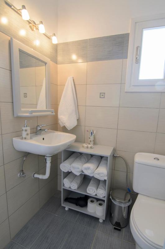 Apartment - Ground Floor image 4