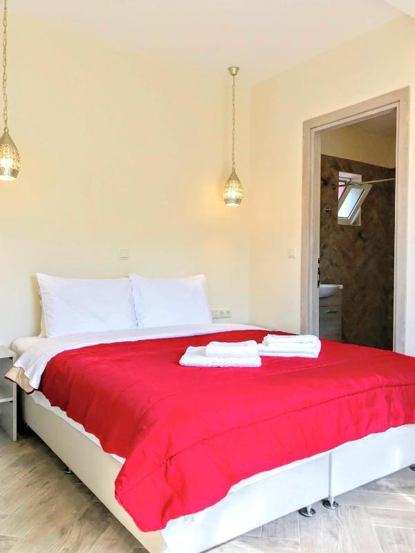 SEMIRAMIS SUITES with pool - image 28