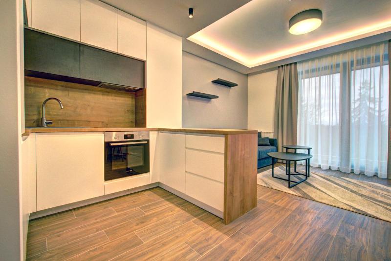 Two-Bedroom Apartment image 4