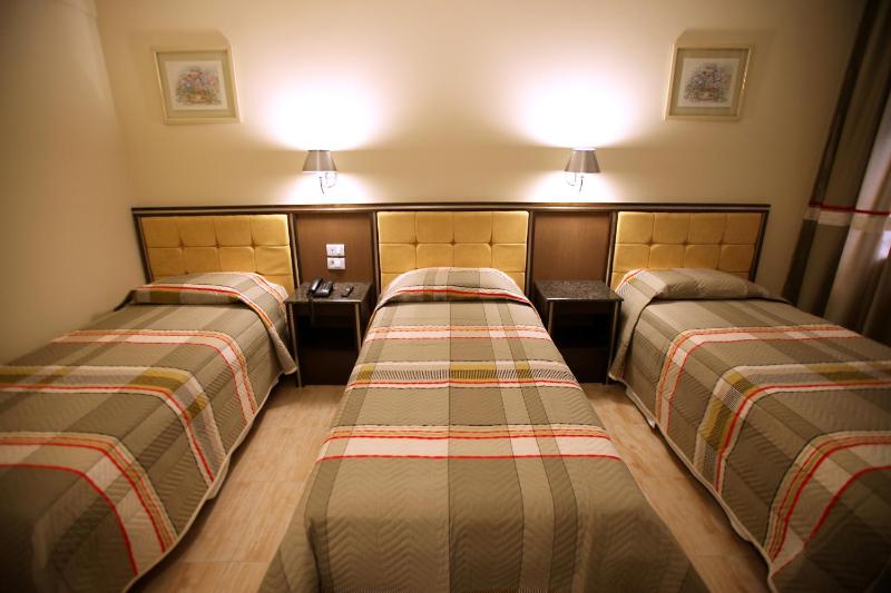 Soneca Plaza Hotel - image 12