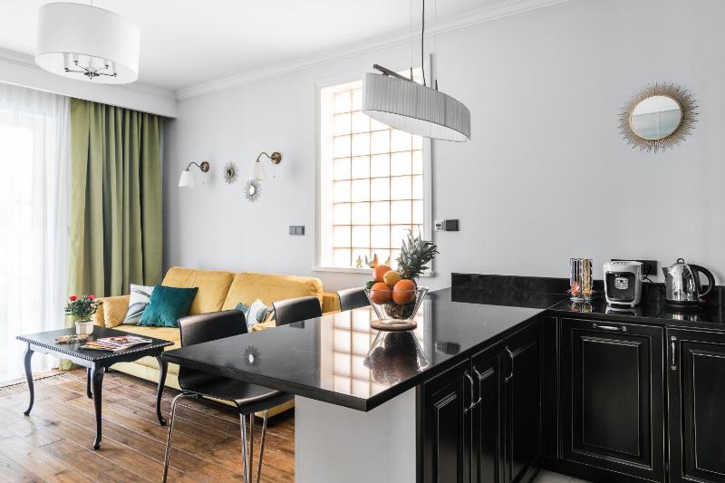 One-Bedroom Apartment image 4