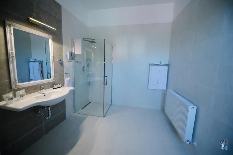 Superior Double Room image 3