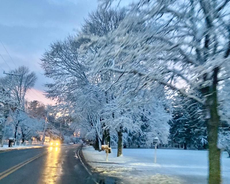 Holiday Home image 4