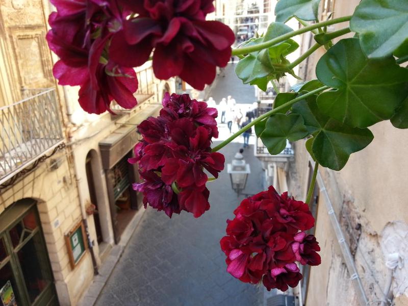 B&B Del Corso - image 5