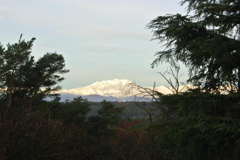 Deluxe Double or Twin Room with Mountain View image 1