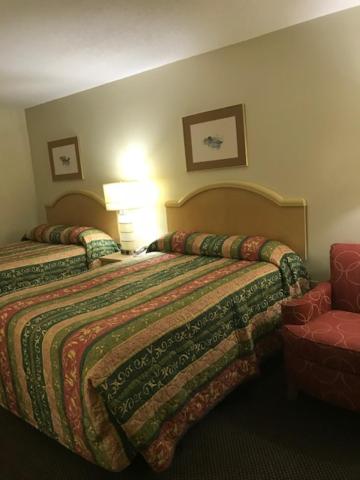 Deluxe Double Room image 3