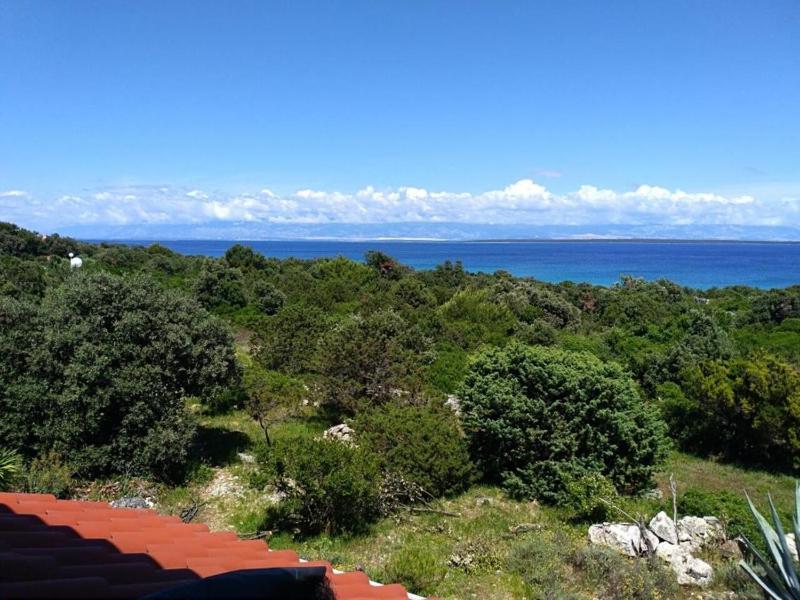 Two-Bedroom Apartment with Terrace and Sea View image 4