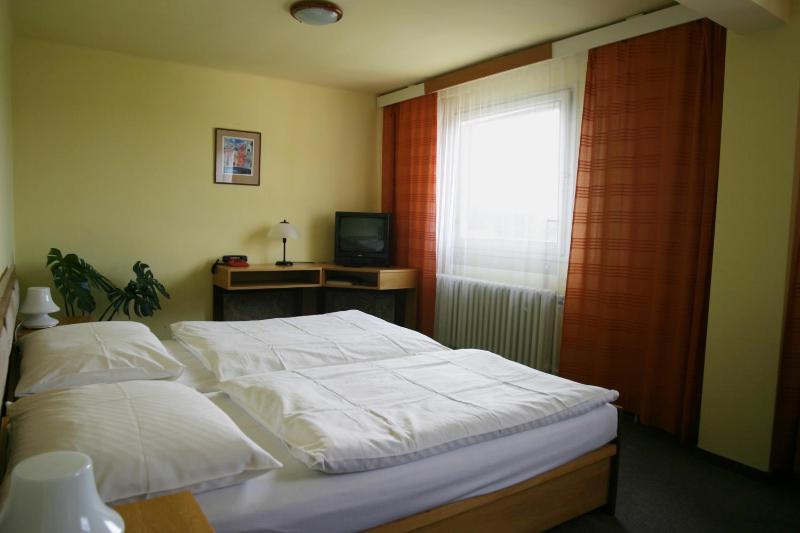 Double or Twin Room image 1