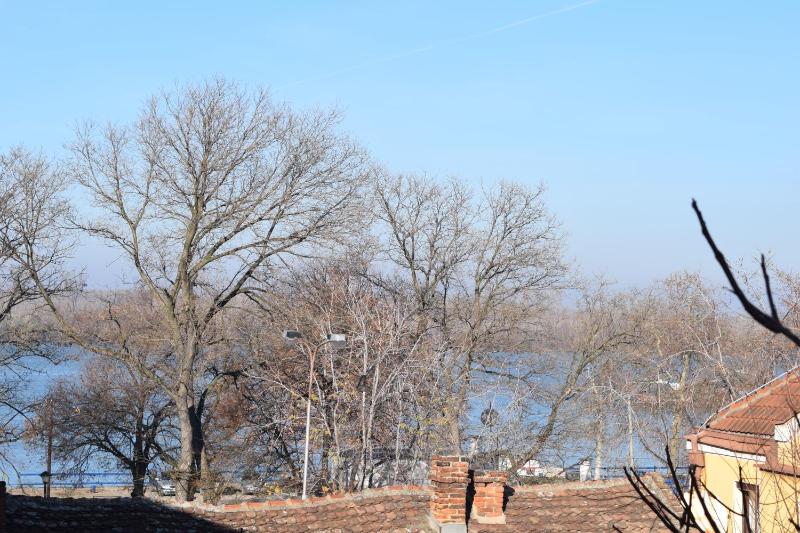 One-Bedroom Apartment image 2