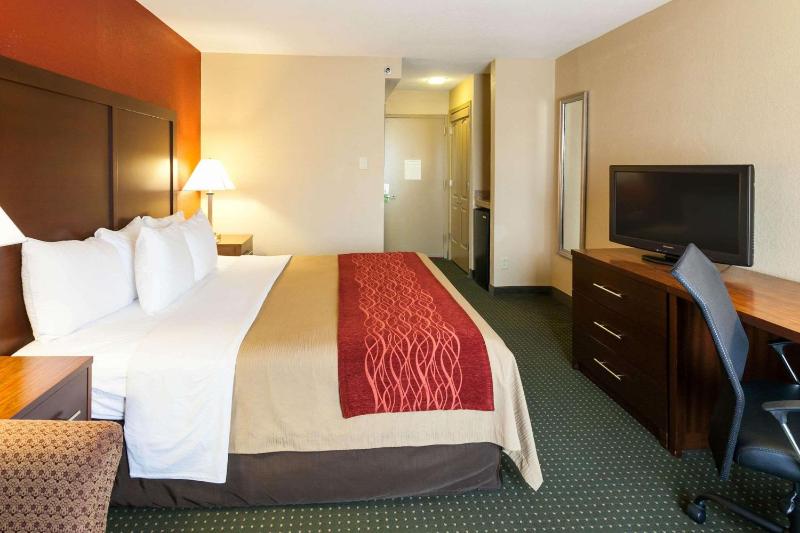 King Room - Non-Smoking image 4