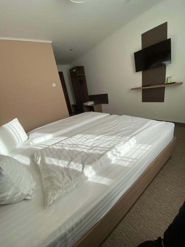 Double or Twin Room image 3