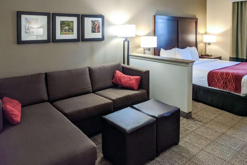 King Suite with Sofa Bed - Non-Smoking image 4